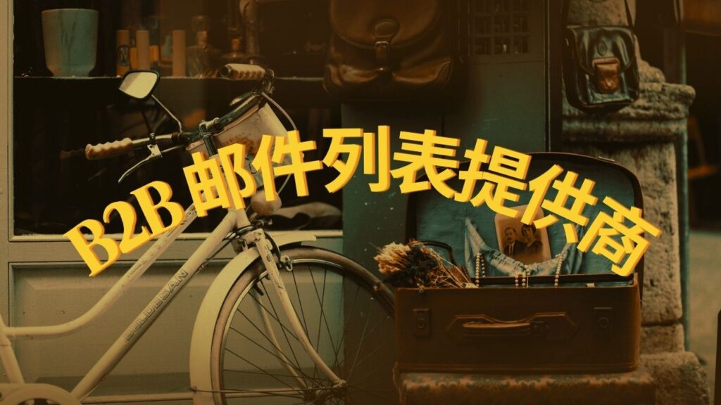 B2B 邮件列表提供商