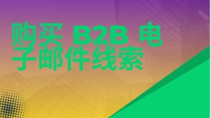 购买 B2B 电子邮件线索