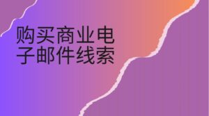 购买商业电子邮件线索