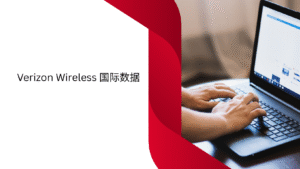 Verizon Wireless 国际数据