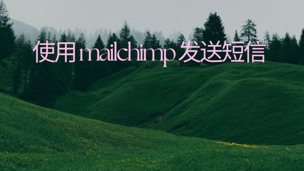 使用 mailchimp 发送短信
