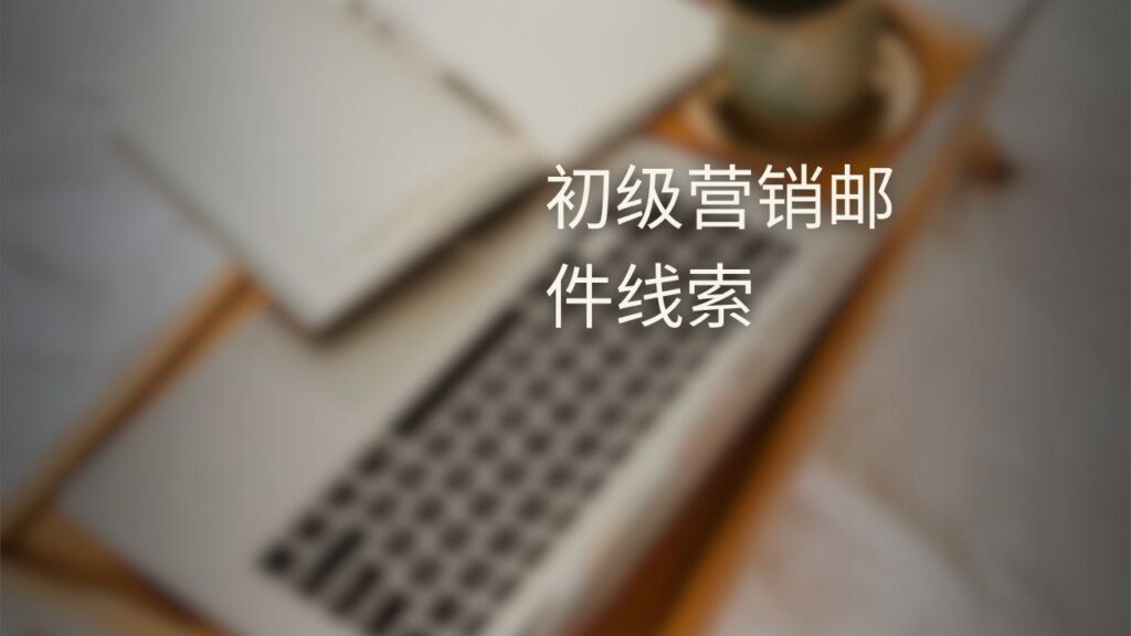 初级营销邮件线索