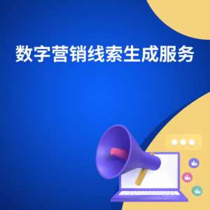 数字营销线索生成服务
