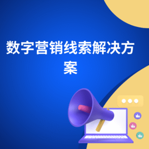 数字营销线索解决方案