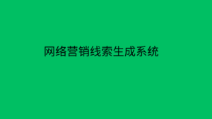 网络营销线索生成系统 